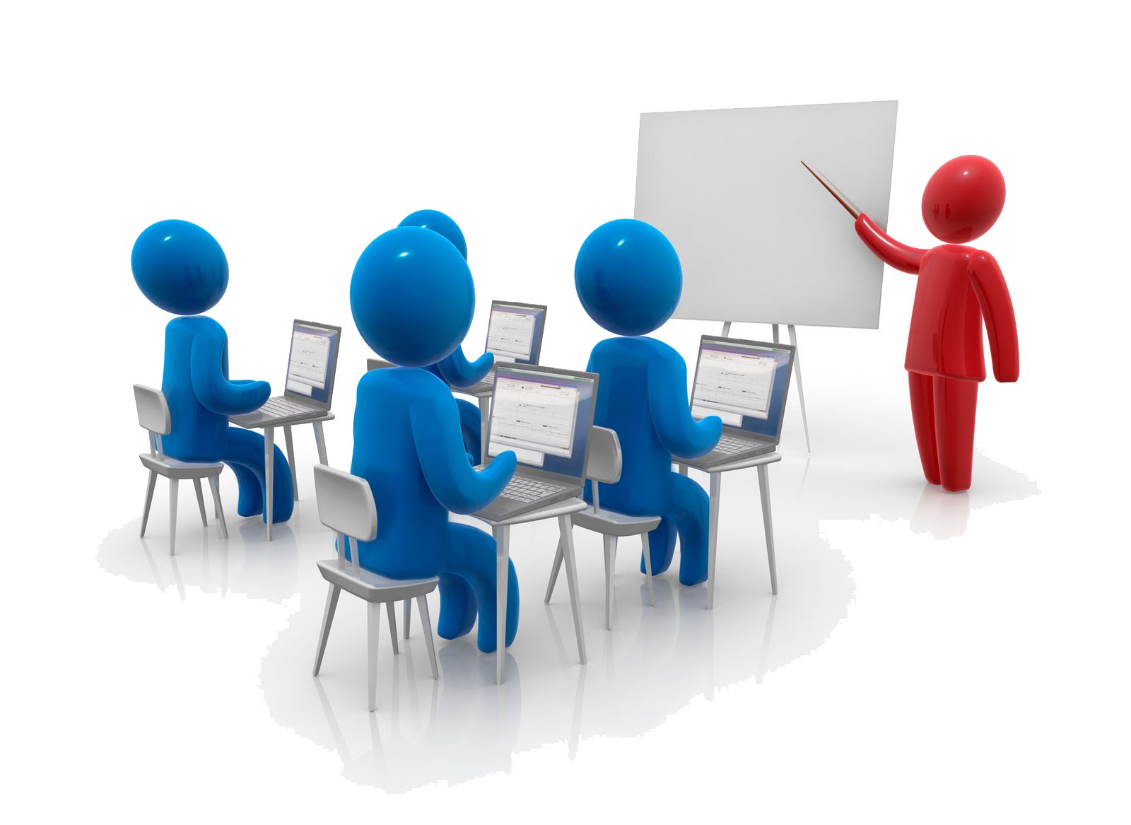 Formation contrôleurs halal : Classement bovins / training course beef Classification